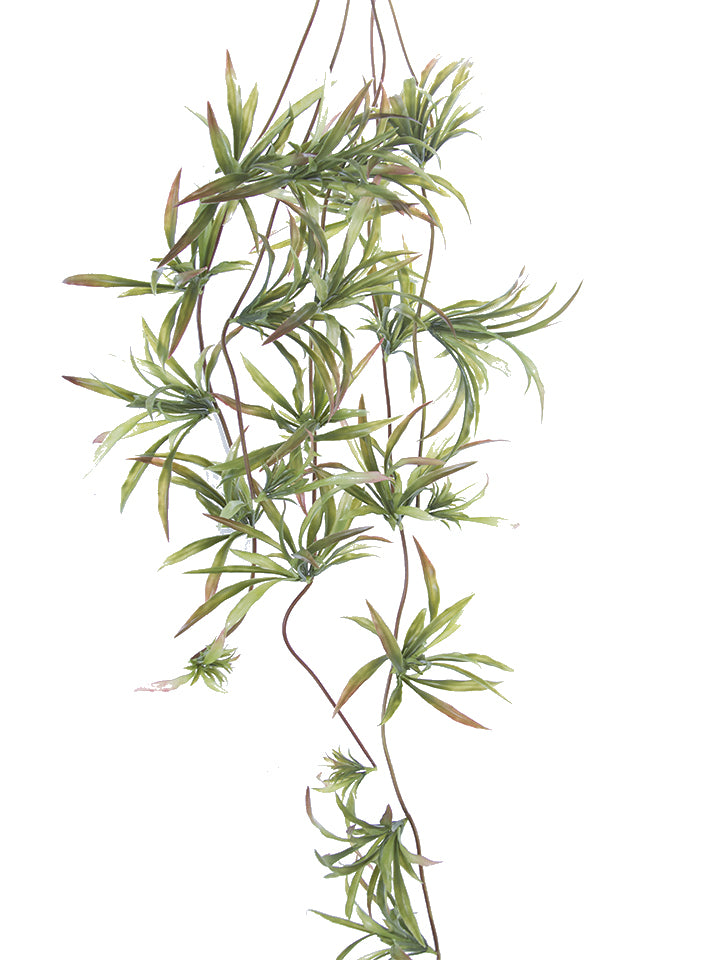 51" Chlorophytum Vine (Green)