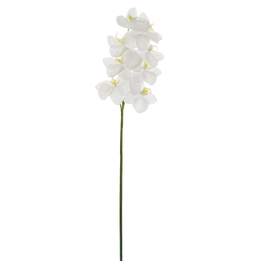 39" Phalaenopsis Orchid Spray (White)
