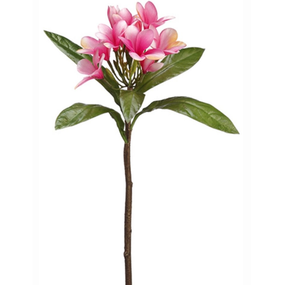 22" Plumeria Spray (Pink)