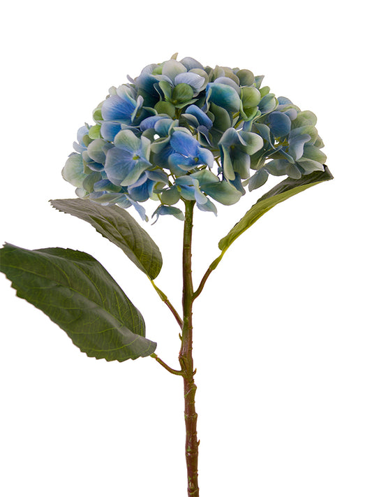 21" Watercolor Mophead Hydrangea (Blue, Green)