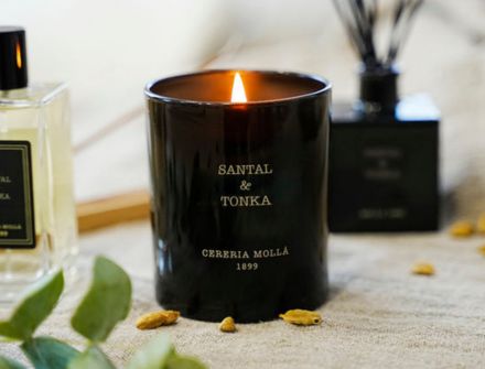 Santal & Tonka 8oz Boutique Candle by Cereria Mollá.  The Fragrance: Woodsy. Cedar oil, tonka bean, cardamom, and sandalwood.  Up to 55 hours of burn time.