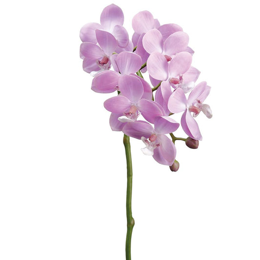 18.5" Small Phalaenopsis Orchid Spray (Lavender)