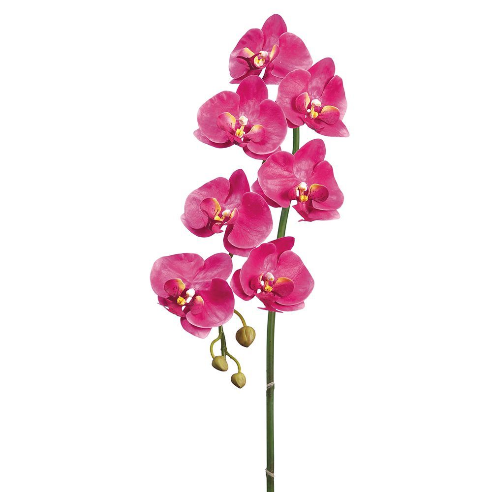 36" Phalaenopsis Orchid Spray With 7 Flowers And 3 Buds (Two-Tone Orchid)