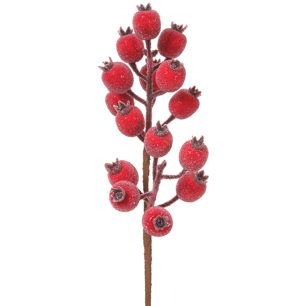 13" Rosehip Spray. Iced red. Made of Foam, Plastic, and Wire.