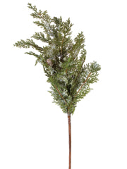 32" Snowy Cedar with Pinecone