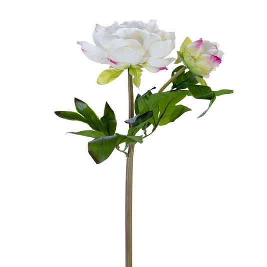 23" Real Touch Peony with Bud (Cream, White)