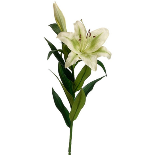 35" Stargazer Lily Spray (Light Green)