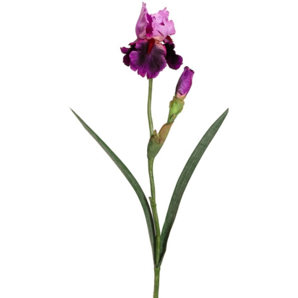 28" Bearded Iris Spray w-Water-Resistant Stem