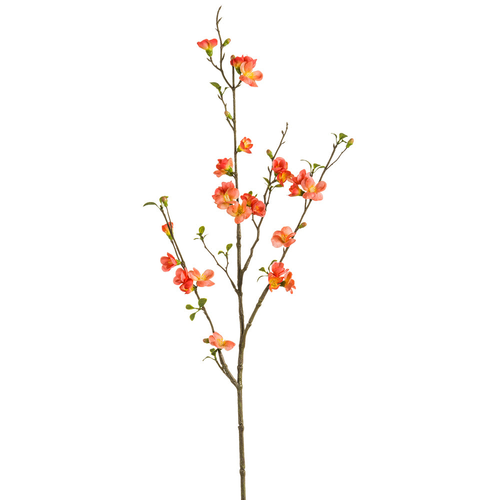30" Quince Blossom Spray (Peach or Coral)