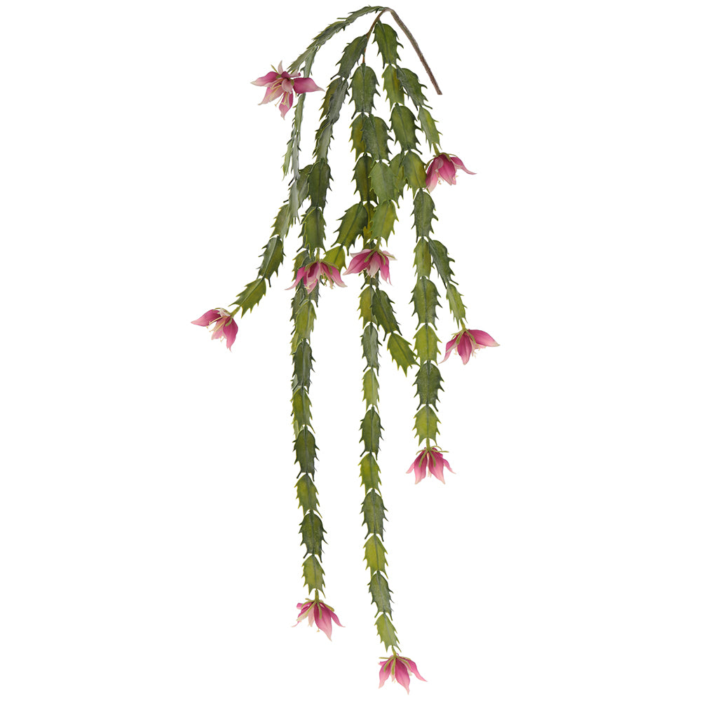 38" Blooming Cactus Hanging Spray (Green, Boysenberry)