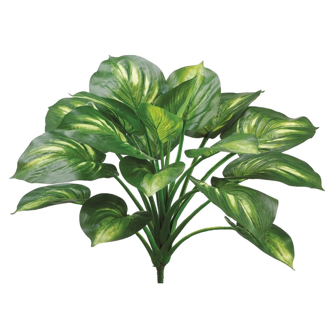 22" EVA Hosta Plant (Green, Cream)