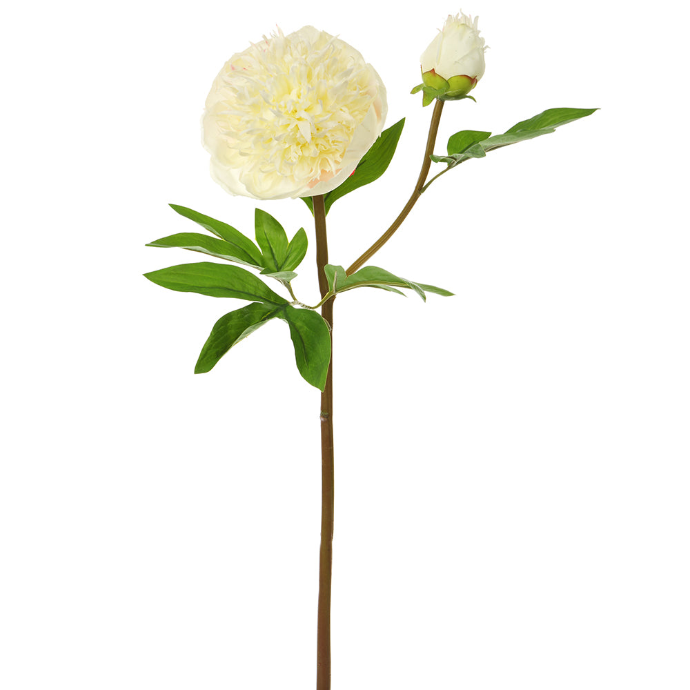 26" Real Touch Peony Spray (White)