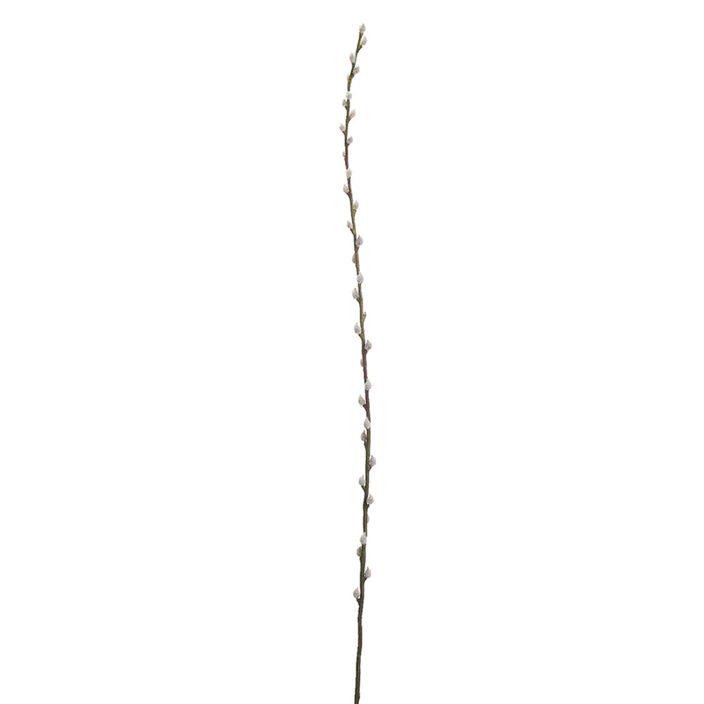 46" Pussy Willow Branch (Gray)