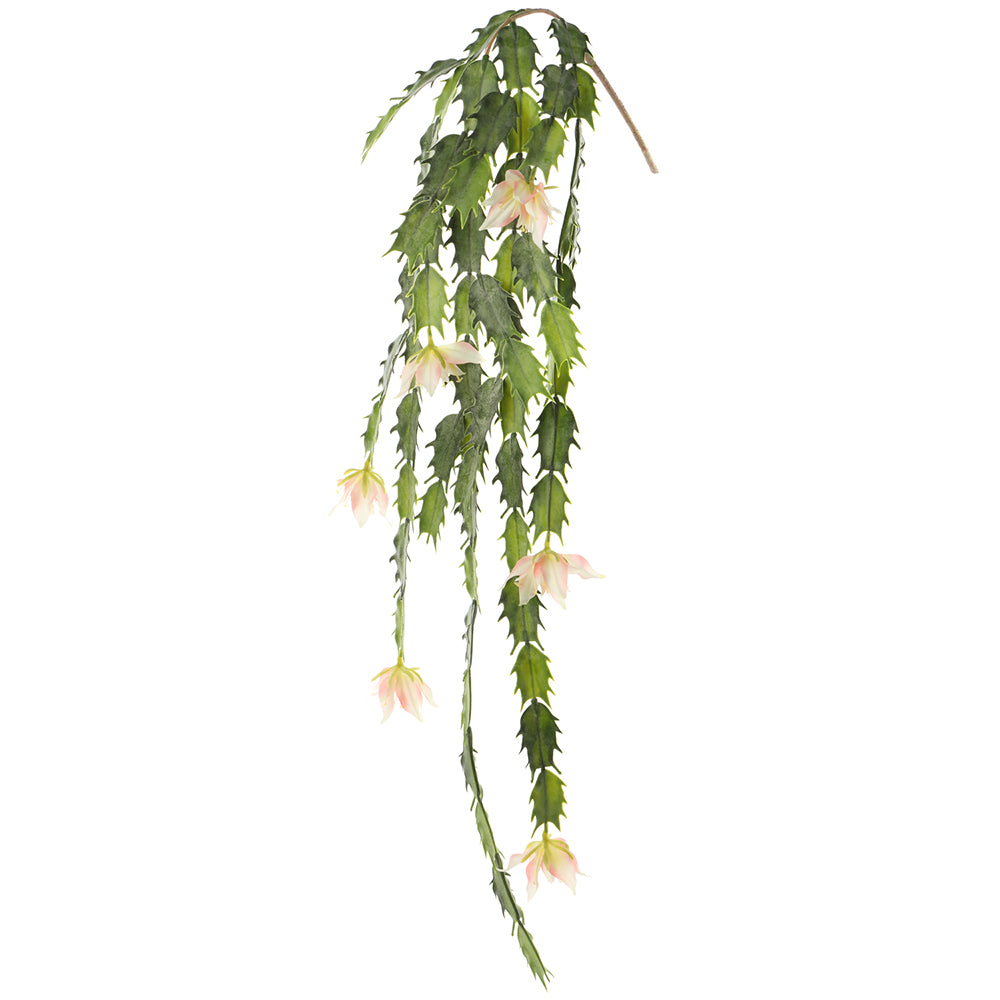 38" Blooming Cactus Hanging Spray (Green, Cream, Peach)