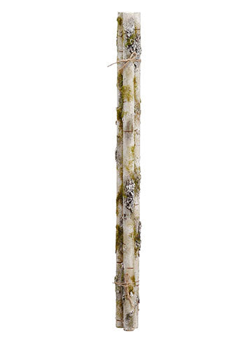 22.5" Mossy Birch Bundle x3 (White, Green)