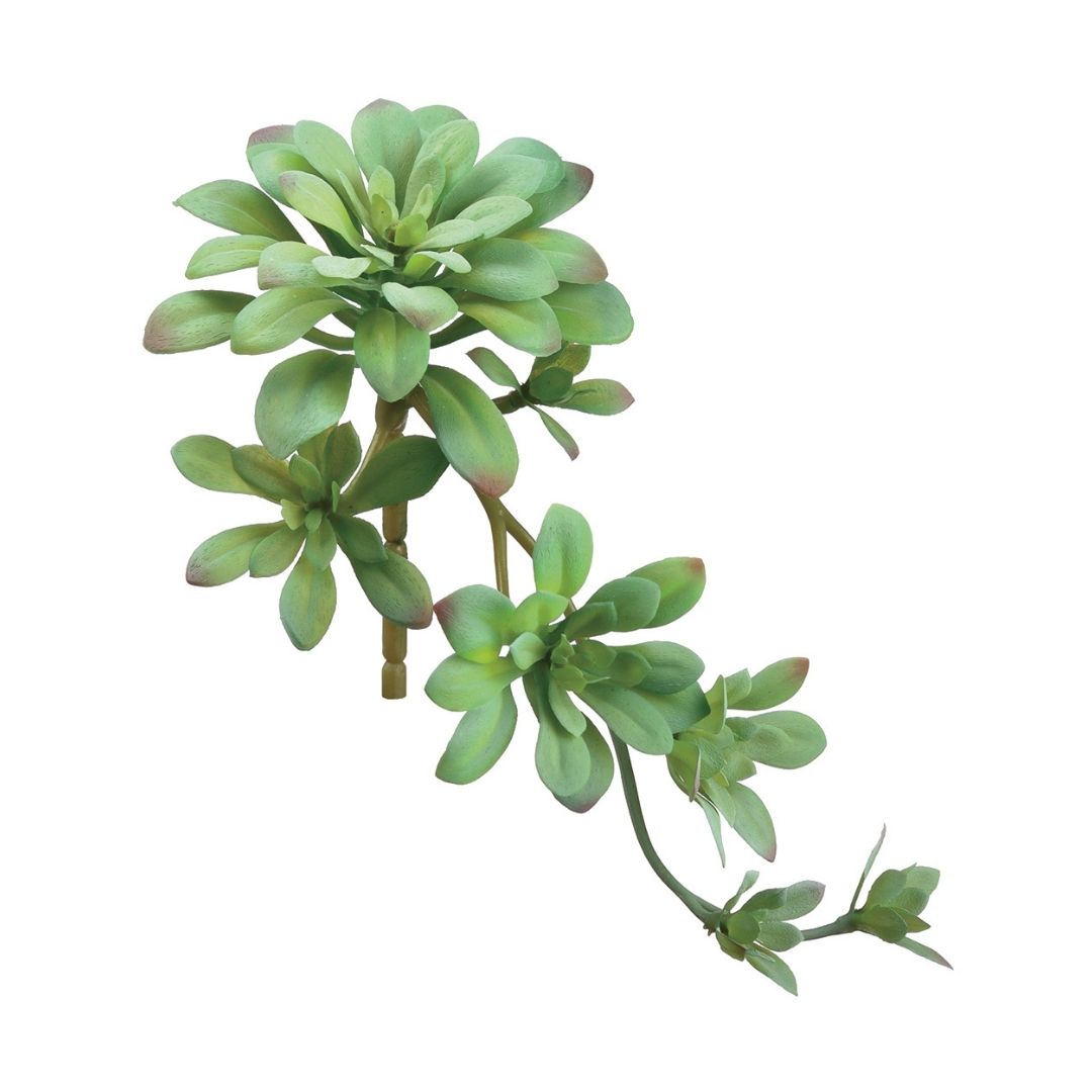 11.8" Soft Aeonium Pick (Green, Gray)