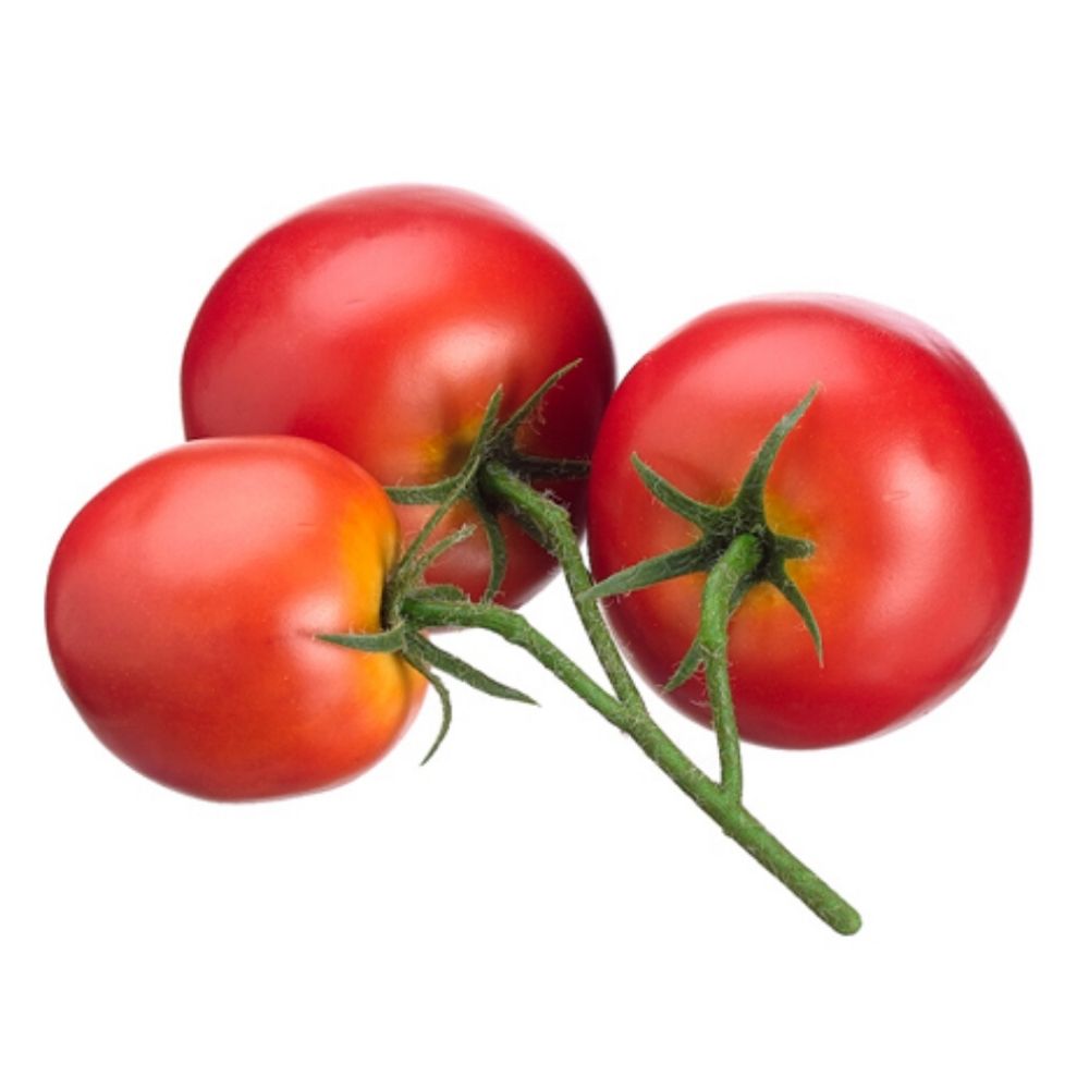 5" Tomato x3