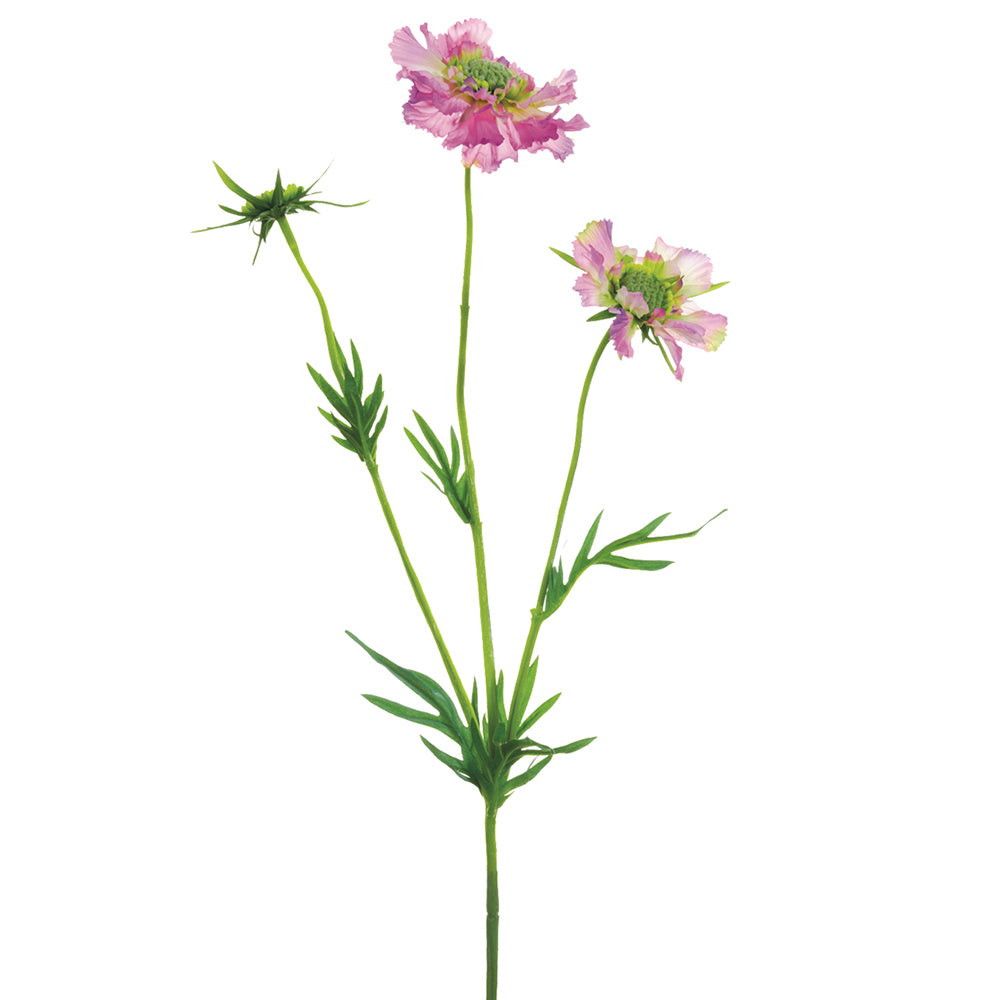29" Real Touch Scabiosa Spray (Amethyst)
