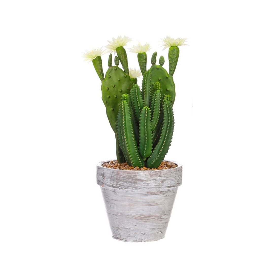 11" Potted Cactus (Green)