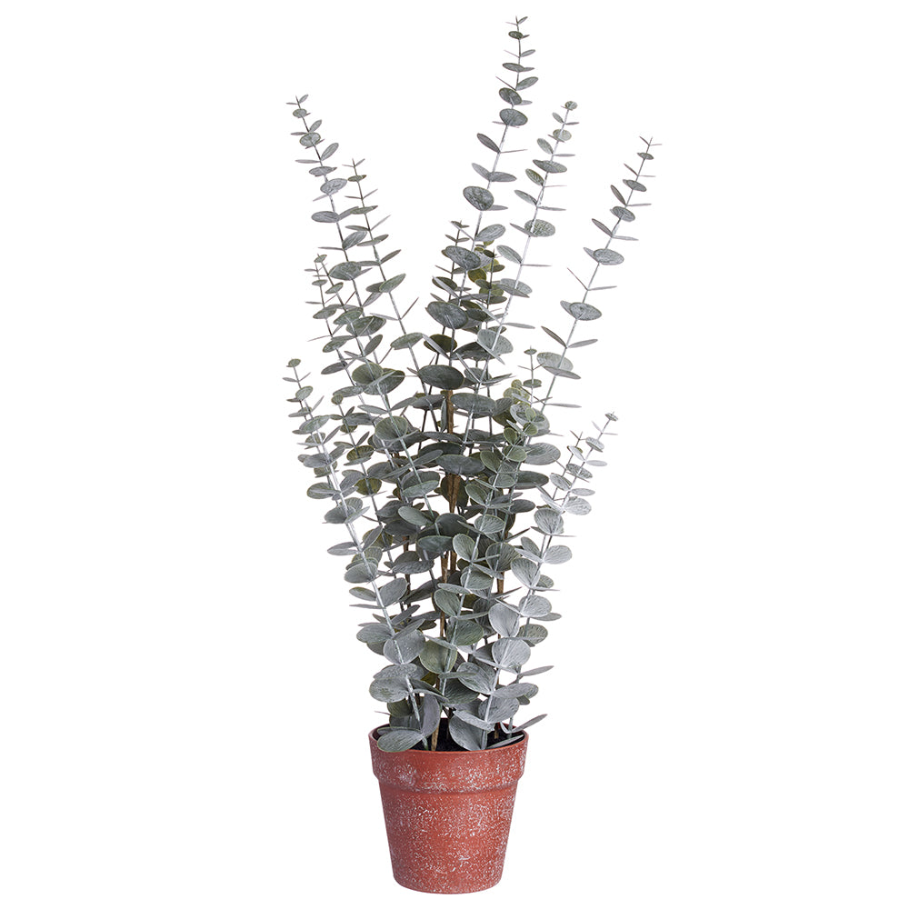 30" Eucalyptus Plant in Plastic Pot (Green, Gray)