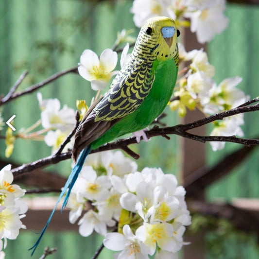 7" Decorative Parakeet Bird (Green, Yellow)