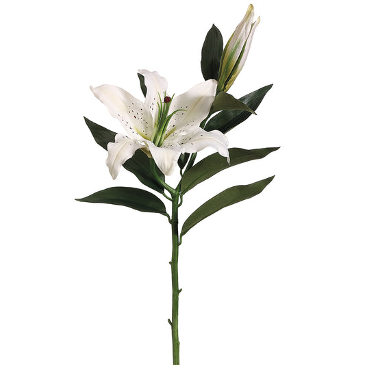 27.5" Casablanca Lily Spray with Bud (White)