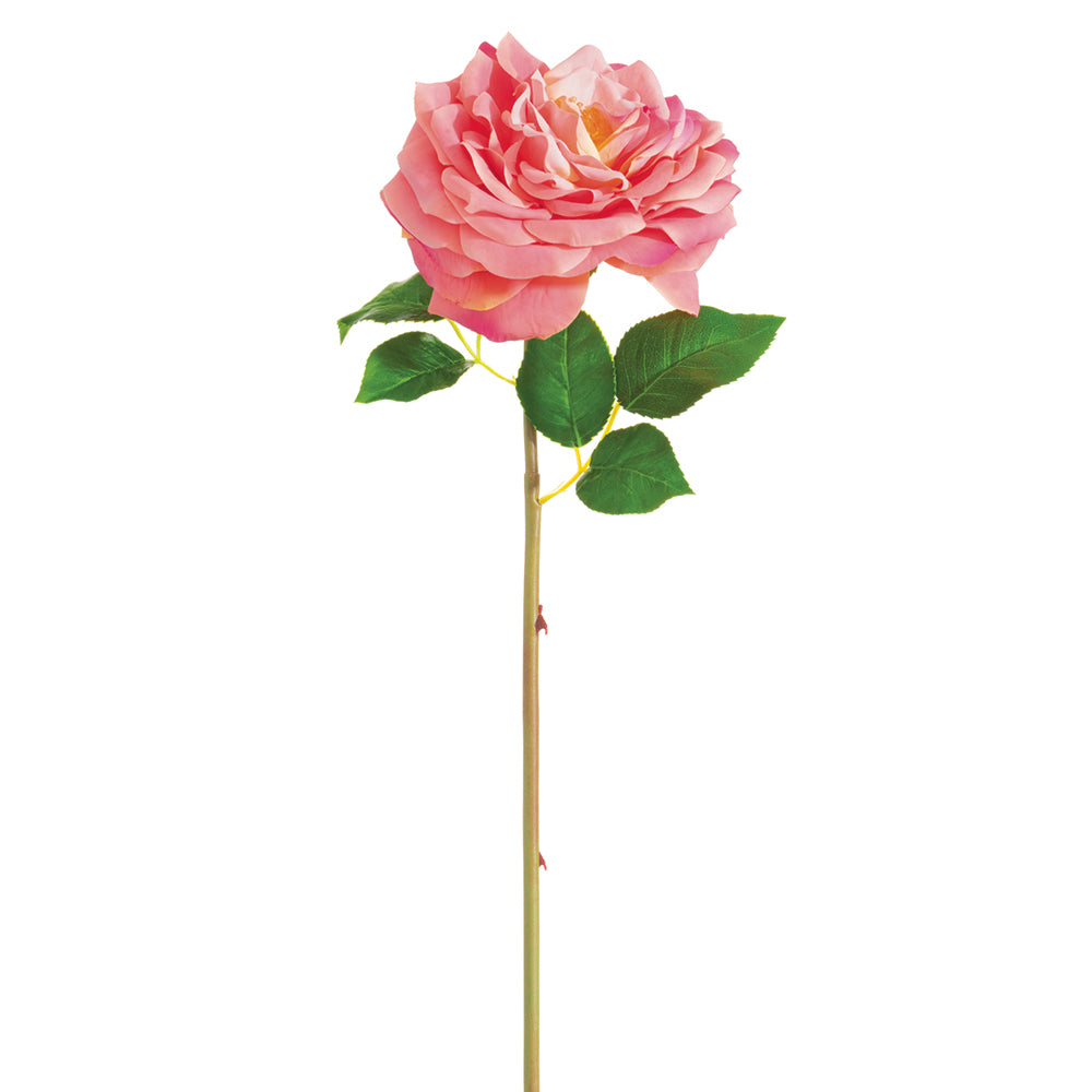 20" Open Cabbage Rose Spray (Two-Tone Pink)