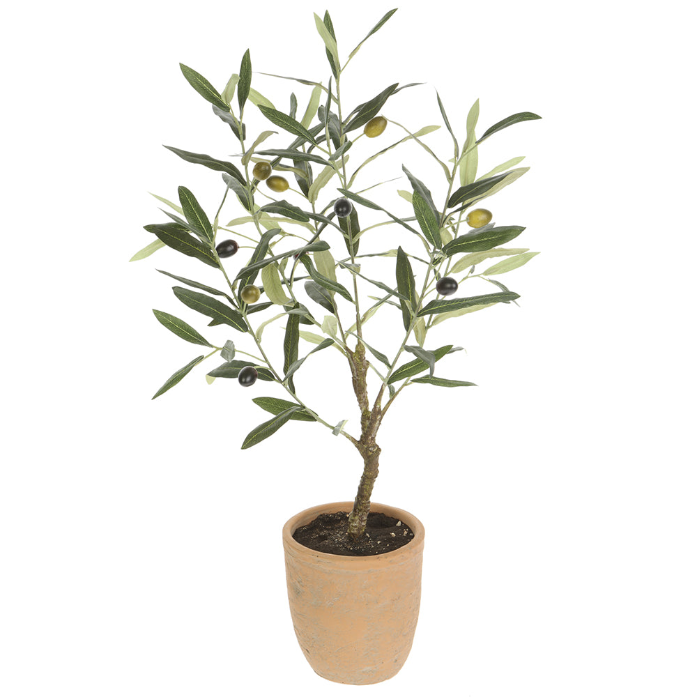 26" Olive Tree in Cement Pot